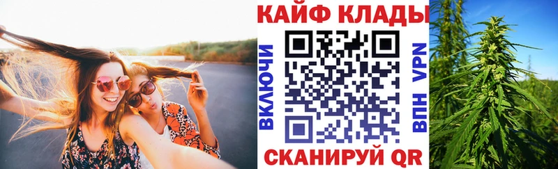 Какие есть наркотики Кингисепп MDMA  Каннабис  МЕФ  ГАШИШ  Альфа ПВП 