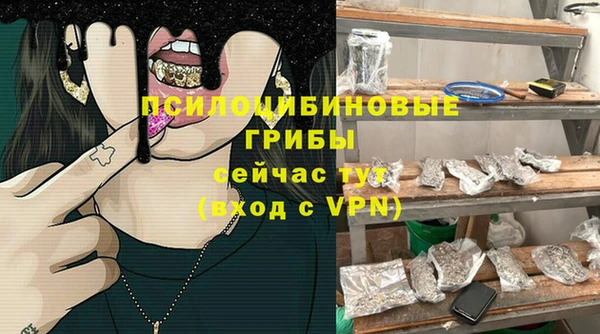 спиды Бердск
