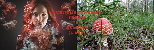 прущие грибы Белая Калитва