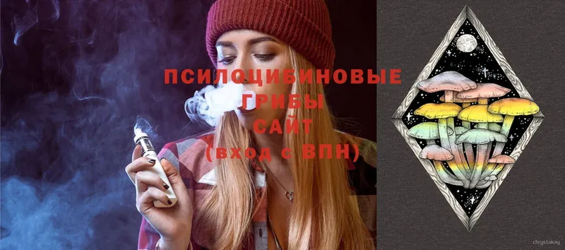 Псилоцибиновые грибы Psilocybe Кингисепп