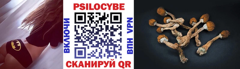 Галлюциногенные грибы MAGIC MUSHROOMS Кингисепп