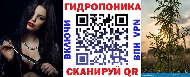 Бошки Шишки ГИДРОПОН  где найти   Кингисепп 